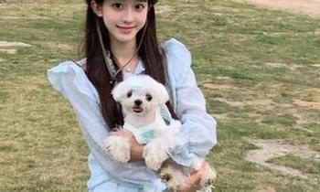 “永不迷路”是什么意思？在51吃瓜的爆料平台上你就懂了！