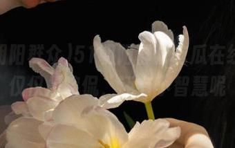 51朝阳群众吃瓜在线，不仅仅是瞎侃，还有小智慧呢