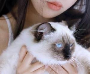 免费吃瓜网，能把八卦吃得那叫一个香，我怀疑它是不是个网站！