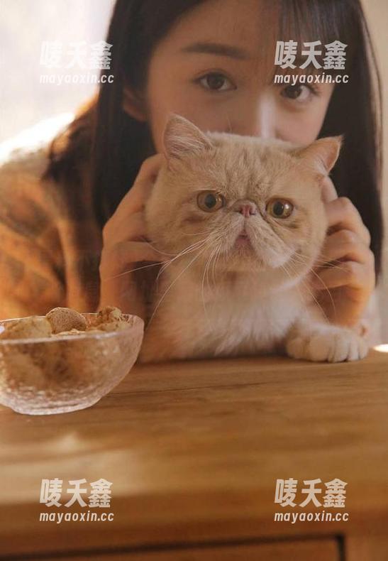 黑料不打烊 今天“黑料不打烊”官网最新消息,网址里藏的瓜可真让人瞩目