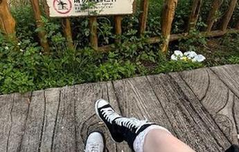 好料不断，黑料老司机地址不打烊，随时来蹭热闹！